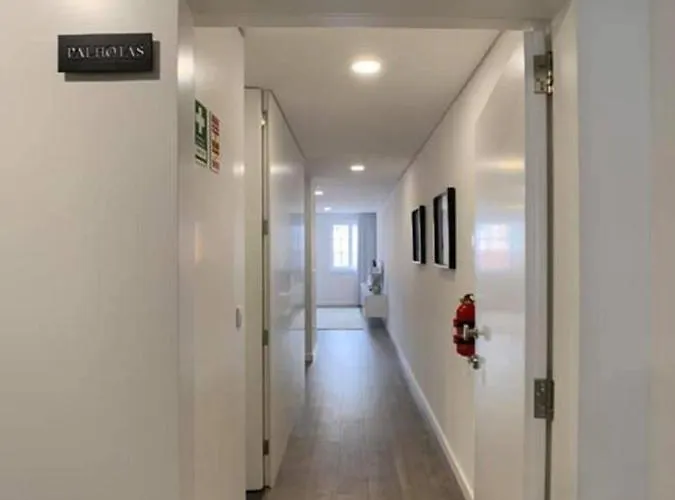 Apartment Palhotas - Palhotas